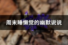 周末睡懒觉的幽默说说(63句)