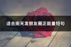 适合雨天发朋友圈正能量短句(实用62句)