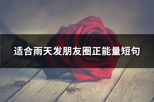 适合雨天发朋友圈正能量短句(实用62句)