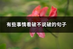 有些事情看破不说破的句子(汇总63句)