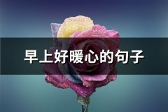 早上好暖心的句子(实用53句)