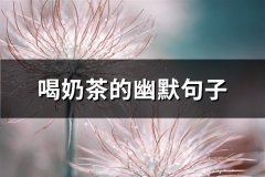 喝奶茶的幽默句子(通用114句)