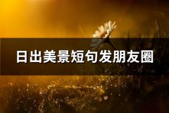 日出美景短句发朋友圈(汇总69句)