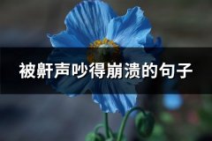 被鼾声吵得崩溃的句子(实用87句)