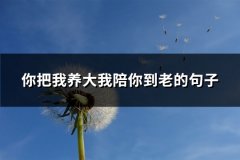 你把我养大我陪你到老的句子(汇总61句)