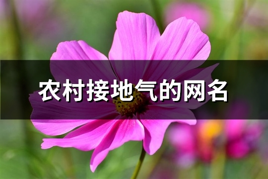 农村接地气的网名(优选447个) 农村接地气的网名(优选447个)