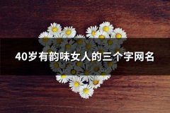 40岁有韵味女人的三个字网名(优选266个)