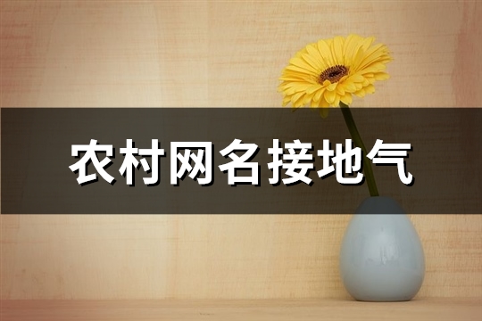 农村网名接地气(共447个) 农村网名接地气(共447个)