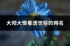 大彻大悟看透世俗的网名(优选235个)
