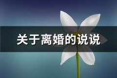 关于离婚的说说