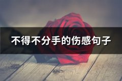 不得不分手的伤感句子