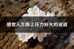 感觉人生路上压力好大的说说
