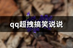 qq超拽搞笑说说(实用151句)
