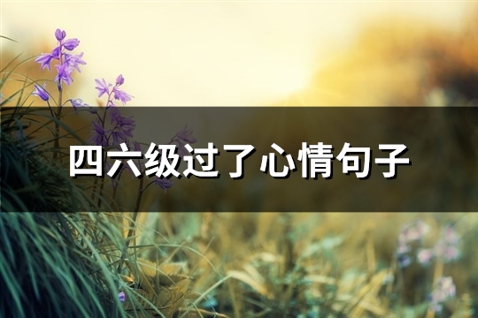 四六级过了心情句子(必备59句) 四六级过了心情句子(必备59句)