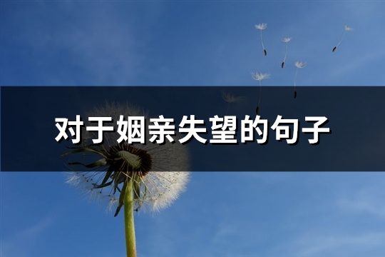对于姻亲失望的句子(精选84句)
