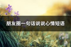 朋友圈一句话说说心情短语(共101句)