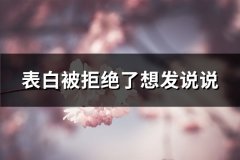表白被拒绝了想发说说(通用43句)