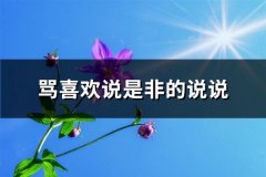 骂喜欢说是非的说说(实用50句)