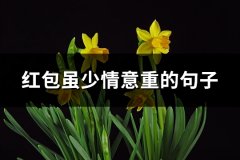 红包虽少情意重的句子(推荐78句)