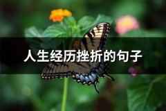 人生经历挫折的句子(汇总62句)