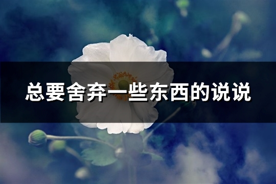 总要舍弃一些东西的说说(实用63句)