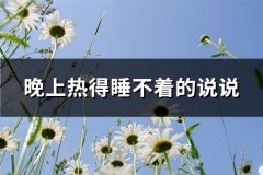 晚上热得睡不着的说说