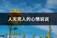 人无完人的心情说说