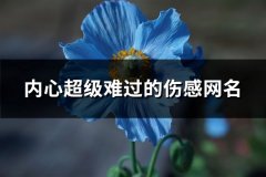 内心超级难过的伤感网名(259个)