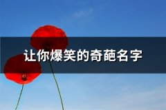 让你爆笑的奇葩名字(优选84个)