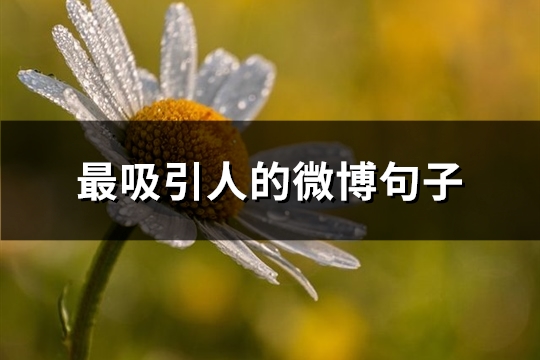 最吸引人的微博句子(共101句)