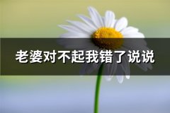 老婆对不起我错了说说(热门76句)