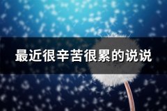 最近很辛苦很累的说说(优选61句)