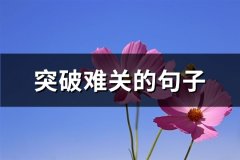 突破难关的句子(汇总69句)