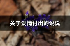 关于爱情付出的说说(推荐73句)