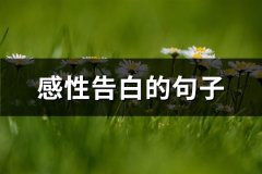 感性告白的句子(热门92句)