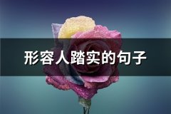 形容人踏实的句子(共68句)