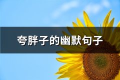 夸胖子的幽默句子(精选66句)
