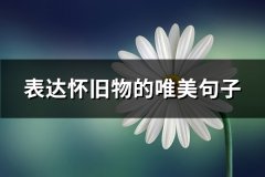 表达怀旧物的唯美句子(实用57句)