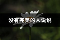 没有完美的人说说(共66句)
