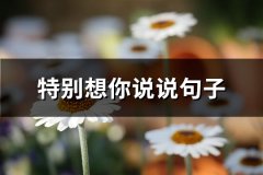 特别想你说说句子(67句)