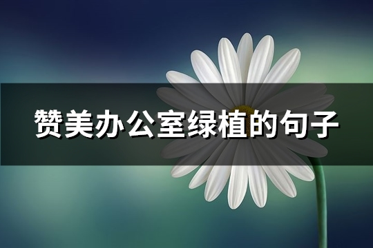 赞美办公室绿植的句子(汇总86句)