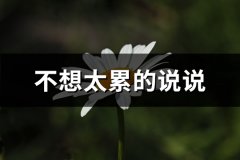 不想太累的说说(37句)