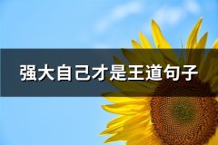 强大自己才是王道句子(通用61句)