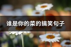 谁是你的菜的搞笑句子(热门100句)