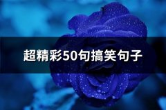 超精彩50句搞笑句子(共72句)