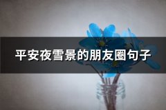 平安夜雪景的朋友圈句子(精选81句)