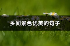 乡间景色优美的句子(热门53句)