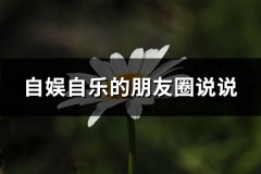 自娱自乐的朋友圈说说(热门58句)