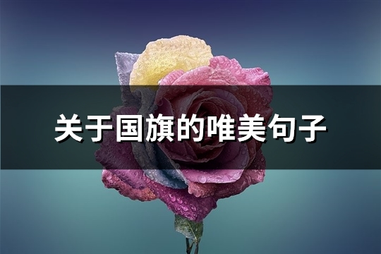 关于国旗的唯美句子(优选52句)