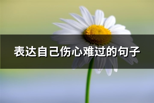 表达自己伤心难过的句子(通用69句)
